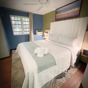 Accessible King Premium Room Ceiling View, Canario Boutique Hotel, San Juan, Puerto Rico