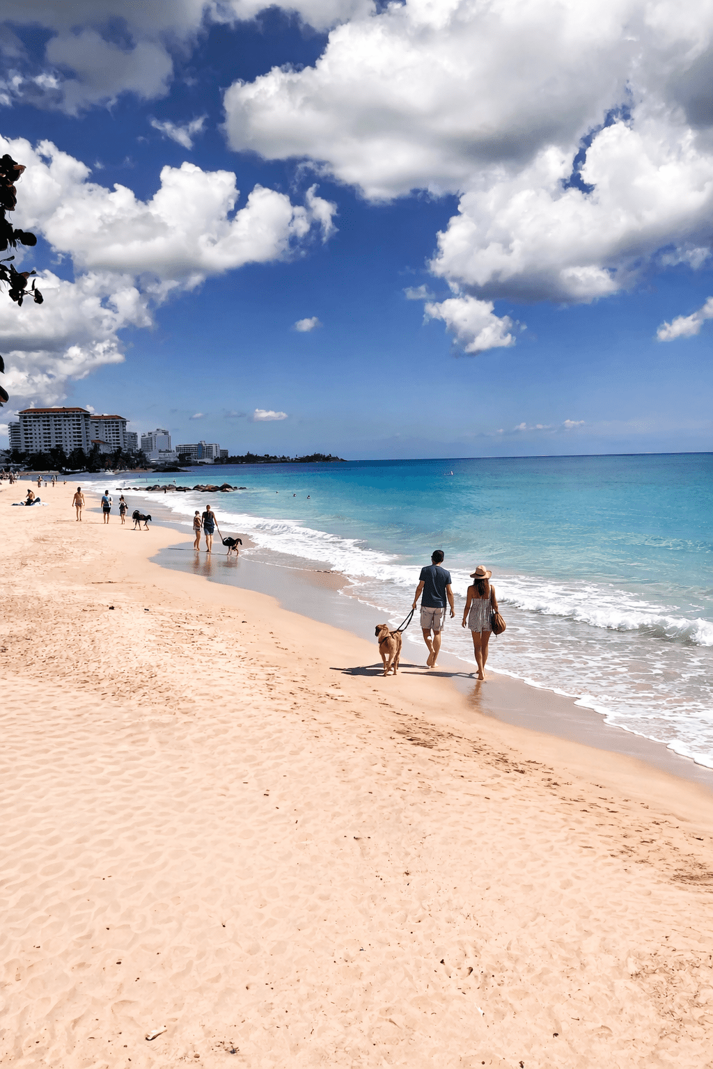 Couple walking their dog on Ocean Park Beach — the dog-friendly beach near Canario Boutique Hotel in Condado, San Juan